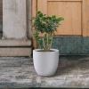 imageKante 18quot14quot10quot Dia Concrete Round Planters Set of 3 Outdoor Indoor Large Planter Pots with Drainage Hole and Rubber Plug for Home Patio Garden Pure WhitePure White