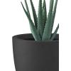 imageKante 18quot14quot10quot Dia Concrete Round Planters Set of 3 Outdoor Indoor Large Planter Pots with Drainage Hole and Rubber Plug for Home Patio Garden Pure WhiteBlack