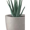 imageKante 18quot14quot10quot Dia Concrete Round Planters Set of 3 Outdoor Indoor Large Planter Pots with Drainage Hole and Rubber Plug for Home Patio Garden Pure WhiteWeathered Concrete