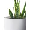 imageKante 18quot14quot10quot Dia Concrete Round Planters Set of 3 Outdoor Indoor Large Planter Pots with Drainage Hole and Rubber Plug for Home Patio Garden Pure WhitePure White