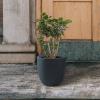 imageKante 18quot14quot10quot Dia Concrete Round Planters Set of 3 Outdoor Indoor Large Planter Pots with Drainage Hole and Rubber Plug for Home Patio Garden Pure WhiteCharcoal