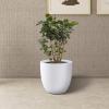 imageKante 18quot14quot10quot Dia Concrete Round Planters Set of 3 Outdoor Indoor Large Planter Pots with Drainage Hole and Rubber Plug for Home Patio Garden Pure WhitePure White