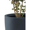 imageKante 18quot14quot10quot Dia Concrete Round Planters Set of 3 Outdoor Indoor Large Planter Pots with Drainage Hole and Rubber Plug for Home Patio Garden Pure WhiteCharcoal