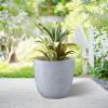imageKante 18quot14quot10quot Dia Concrete Round Planters Set of 3 Outdoor Indoor Large Planter Pots with Drainage Hole and Rubber Plug for Home Patio Garden Pure WhiteGray
