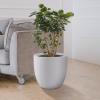 imageKante 18quot14quot10quot Dia Concrete Round Planters Set of 3 Outdoor Indoor Large Planter Pots with Drainage Hole and Rubber Plug for Home Patio Garden Pure WhitePure White