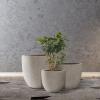 imageKante 18quot14quot10quot Dia Concrete Round Planters Set of 3 Outdoor Indoor Large Planter Pots with Drainage Hole and Rubber Plug for Home Patio Garden Pure WhiteBuff Concrete