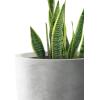 imageKante 18quot14quot10quot Dia Concrete Round Planters Set of 3 Outdoor Indoor Large Planter Pots with Drainage Hole and Rubber Plug for Home Patio Garden Pure WhiteNatural Concrete