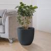 imageKante 18quot14quot10quot Dia Concrete Round Planters Set of 3 Outdoor Indoor Large Planter Pots with Drainage Hole and Rubber Plug for Home Patio Garden Pure WhiteCharcoal