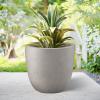imageKante 18quot14quot10quot Dia Concrete Round Planters Set of 3 Outdoor Indoor Large Planter Pots with Drainage Hole and Rubber Plug for Home Patio Garden Pure WhiteBuff Concrete