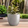 imageKante 18quot14quot10quot Dia Concrete Round Planters Set of 3 Outdoor Indoor Large Planter Pots with Drainage Hole and Rubber Plug for Home Patio Garden Pure WhiteWeathered Concrete