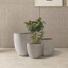 imageKante 18quot14quot10quot Dia Concrete Round Planters Set of 3 Outdoor Indoor Large Planter Pots with Drainage Hole and Rubber Plug for Home Patio Garden Pure WhiteBuff Concrete