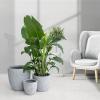 imageKante 18quot14quot10quot Dia Concrete Round Planters Set of 3 Outdoor Indoor Large Planter Pots with Drainage Hole and Rubber Plug for Home Patio Garden Pure WhiteGray