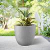 imageKante 18quot14quot10quot Dia Concrete Round Planters Set of 3 Outdoor Indoor Large Planter Pots with Drainage Hole and Rubber Plug for Home Patio Garden Pure WhiteGray Concrete