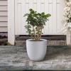 imageKante 18quot14quot10quot Dia Concrete Round Planters Set of 3 Outdoor Indoor Large Planter Pots with Drainage Hole and Rubber Plug for Home Patio Garden Pure WhitePure White