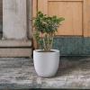 imageKante 18quot14quot10quot Dia Concrete Round Planters Set of 3 Outdoor Indoor Large Planter Pots with Drainage Hole and Rubber Plug for Home Patio Garden Pure WhitePure White