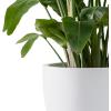 imageKante 18quot14quot10quot Dia Concrete Round Planters Set of 3 Outdoor Indoor Large Planter Pots with Drainage Hole and Rubber Plug for Home Patio Garden Pure WhitePure White