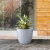 imageKante 18quot14quot10quot Dia Concrete Round Planters Set of 3 Outdoor Indoor Large Planter Pots with Drainage Hole and Rubber Plug for Home Patio Garden Pure WhiteSlate Gray