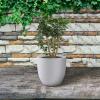 imageKante 18quot14quot10quot Dia Concrete Round Planters Set of 3 Outdoor Indoor Large Planter Pots with Drainage Hole and Rubber Plug for Home Patio Garden Pure WhitePure White