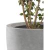 imageKante 18quot14quot10quot Dia Concrete Round Planters Set of 3 Outdoor Indoor Large Planter Pots with Drainage Hole and Rubber Plug for Home Patio Garden Pure WhiteNatural Concrete