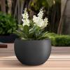 imageKante 199quot Dia Round Concrete Planter OutdoorIndoor Large Bowl Plant Pots with Drainage Hole and Rubber Plug for Garden Patio Balcony Home Pure WhiteBlack
