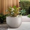 imageKante 199quot Dia Round Concrete Planter OutdoorIndoor Large Bowl Plant Pots with Drainage Hole and Rubber Plug for Garden Patio Balcony Home Pure WhiteWeathered Concrete
