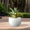 imageKante 199quot Dia Round Concrete Planter OutdoorIndoor Large Bowl Plant Pots with Drainage Hole and Rubber Plug for Garden Patio Balcony Home Pure WhitePure White