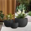 imageKante 199quot Dia Round Concrete Planter OutdoorIndoor Large Bowl Plant Pots with Drainage Hole and Rubber Plug for Garden Patio Balcony Home Pure WhiteBlack