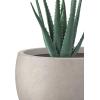 imageKante 199quot Dia Round Concrete Planter OutdoorIndoor Large Bowl Plant Pots with Drainage Hole and Rubber Plug for Garden Patio Balcony Home Pure WhiteWeathered Concrete