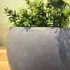 imageKante 199quot Dia Round Concrete Planter OutdoorIndoor Large Bowl Plant Pots with Drainage Hole and Rubber Plug for Garden Patio Balcony Home Pure WhiteSlate Gray