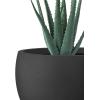 imageKante 199quot Dia Round Concrete Planter OutdoorIndoor Large Bowl Plant Pots with Drainage Hole and Rubber Plug for Garden Patio Balcony Home Pure WhiteBlack