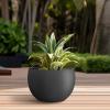imageKante 199quot Dia Round Concrete Planter OutdoorIndoor Large Bowl Plant Pots with Drainage Hole and Rubber Plug for Garden Patio Balcony Home Pure WhiteBlack