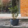 imageKante 199quot Dia Round Concrete Planter OutdoorIndoor Large Bowl Plant Pots with Drainage Hole and Rubber Plug for Garden Patio Balcony Home Pure WhiteCharcoal