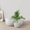 imageKante 199quot Dia Round Concrete Planter OutdoorIndoor Large Bowl Plant Pots with Drainage Hole and Rubber Plug for Garden Patio Balcony Home Pure WhitePure White