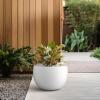 imageKante 199quot Dia Round Concrete Planter OutdoorIndoor Large Bowl Plant Pots with Drainage Hole and Rubber Plug for Garden Patio Balcony Home Pure WhitePure White