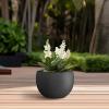 imageKante 199quot Dia Round Concrete Planter OutdoorIndoor Large Bowl Plant Pots with Drainage Hole and Rubber Plug for Garden Patio Balcony Home Pure WhiteBlack