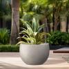 imageKante 199quot Dia Round Concrete Planter OutdoorIndoor Large Bowl Plant Pots with Drainage Hole and Rubber Plug for Garden Patio Balcony Home Pure WhiteWeathered Concrete