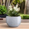 imageKante 199quot Dia Round Concrete Planter OutdoorIndoor Large Bowl Plant Pots with Drainage Hole and Rubber Plug for Garden Patio Balcony Home Pure WhiteSlate Gray