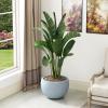 imageKante 199quot Dia Round Concrete Planter OutdoorIndoor Large Bowl Plant Pots with Drainage Hole and Rubber Plug for Garden Patio Balcony Home Pure WhiteGray