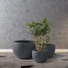 imageKante 199quot Dia Round Concrete Planter OutdoorIndoor Large Bowl Plant Pots with Drainage Hole and Rubber Plug for Garden Patio Balcony Home Pure WhiteCharcoal