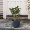 imageKante 199quot Dia Round Concrete Planter OutdoorIndoor Large Bowl Plant Pots with Drainage Hole and Rubber Plug for Garden Patio Balcony Home Pure WhiteCharcoal