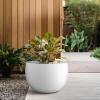 imageKante 199quot Dia Round Concrete Planter OutdoorIndoor Large Bowl Plant Pots with Drainage Hole and Rubber Plug for Garden Patio Balcony Home Pure WhitePure White
