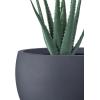 imageKante 199quot Dia Round Concrete Planter OutdoorIndoor Large Bowl Plant Pots with Drainage Hole and Rubber Plug for Garden Patio Balcony Home Pure WhiteCharcoal