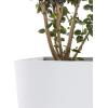 imageKante 24quot Tall Lightweight Concrete Modern Tapered Tall Rectangle Outdoor Planter with Drainage Hole Large Outdoor Indoor Modern Planter for Home and Garden Pure WhiteWhite