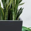 imageKante 24quot Tall Lightweight Concrete Modern Tapered Tall Rectangle Outdoor Planter with Drainage Hole Large Outdoor Indoor Modern Planter for Home and Garden Pure WhiteOnyx