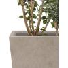 imageKante 24quot Tall Lightweight Concrete Modern Tapered Tall Rectangle Outdoor Planter with Drainage Hole Large Outdoor Indoor Modern Planter for Home and Garden Pure WhiteNatural Concrete