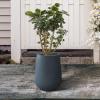 imageKante 28quot21quot14quot H Round Pure White Concrete Tall Planters Set of 3 Indoor Large Planter Pots Containers for Patio Balcony Backyard Living RoomCharcoal