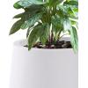 imageKante 28quot21quot14quot H Round Pure White Concrete Tall Planters Set of 3 Indoor Large Planter Pots Containers for Patio Balcony Backyard Living RoomPure White