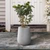 imageKante 28quot21quot14quot H Round Pure White Concrete Tall Planters Set of 3 Indoor Large Planter Pots Containers for Patio Balcony Backyard Living RoomNatural Concrete