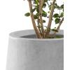 imageKante 28quot21quot14quot H Round Pure White Concrete Tall Planters Set of 3 Indoor Large Planter Pots Containers for Patio Balcony Backyard Living RoomNatural Concrete