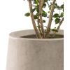 imageKante 28quot21quot14quot H Round Pure White Concrete Tall Planters Set of 3 Indoor Large Planter Pots Containers for Patio Balcony Backyard Living RoomWeathered Concrete